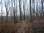DSCN2489.JPG