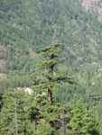 alaska_motorcycle_2017-09-12-08_59_55_IMG_0021.JPG