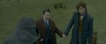 FANTASTIC_BEASTS_TCOG_chapter05.1011.jpg