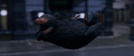 FANTASTIC_BEASTS.theatrical_00073111.jpg